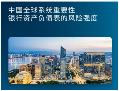 中国全球系统重要性银行资产负债表的风险强度